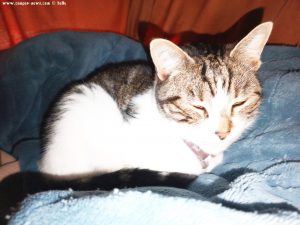 Shiva in Puerto Motril - Granada – Spain