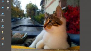 Desktop-Bild belle am 20.02.2026