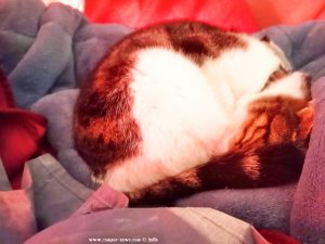 Shiva in Puerto Motril - Granada – Spain