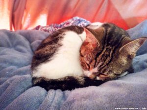 Shiva in Puerto Motril - Granada – Spain