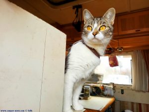 Shiva in Puerto Motril - Granada – Spain