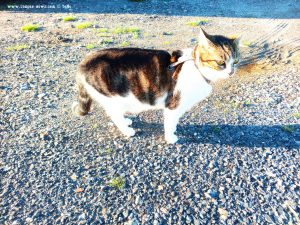 Shiva in Puerto Motril - Granada – Spain