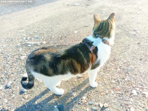 Shiva in Puerto Motril - Granada – Spain