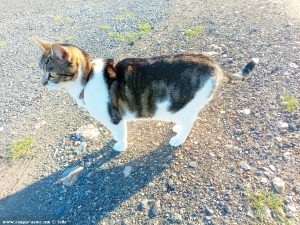 Shiva in Puerto Motril - Granada – Spain