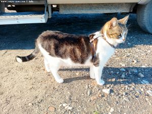 Shiva in Puerto Motril - Granada – Spain