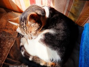 Shiva in Puerto Motril - Granada – Spain