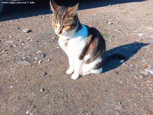 Shiva in Puerto Motril - Granada – Spain