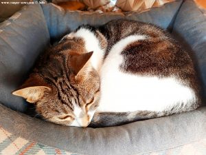 Shiva in Puerto Motril - Granada – Spain