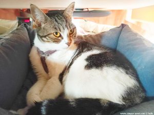 Shiva in Puerto Motril - Granada – Spain