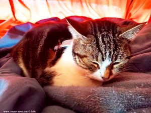 Shiva in Puerto Motril - Granada – Spain