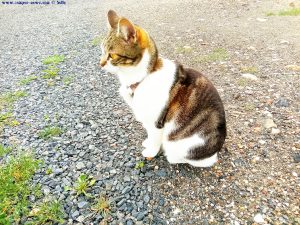 Shiva in Puerto Motril - Granada – Spain