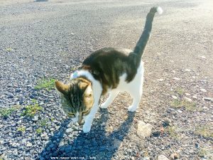 Shiva in Puerto Motril - Granada – Spain