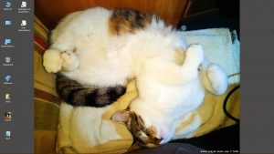 Desktop-Bild belle am 16.05.2026