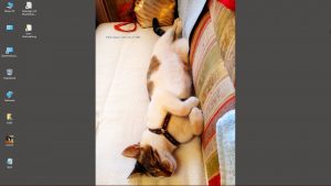 Desktop-Bild belle am 23.05.2026