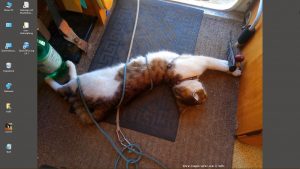 Desktop-Bild belle am 14.06.2026