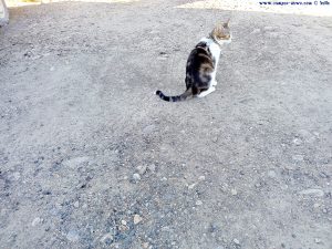 Shiva in Puerto Motril - Granada – Spain