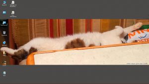 Desktop-Bild belle am 14.09.2026