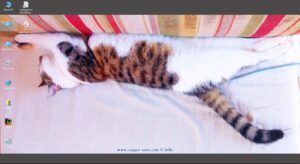 Desktop-Bild belle am 24.10.2026
